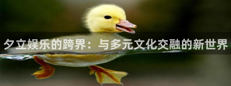 汇富娱乐注册地址