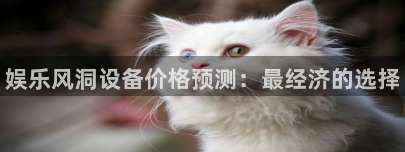 汇富娱乐